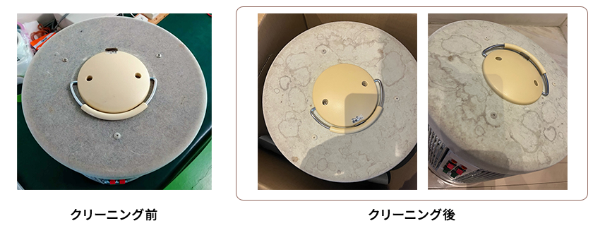 植毛モデルクリーニング例